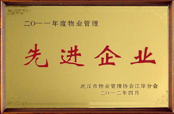 2011年先进企业